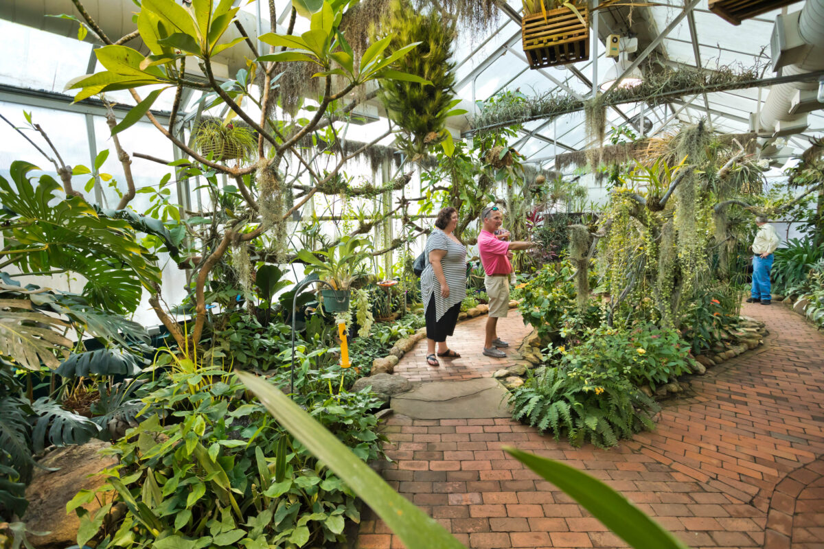 Photograph of Butterfly Greenhouse and guests