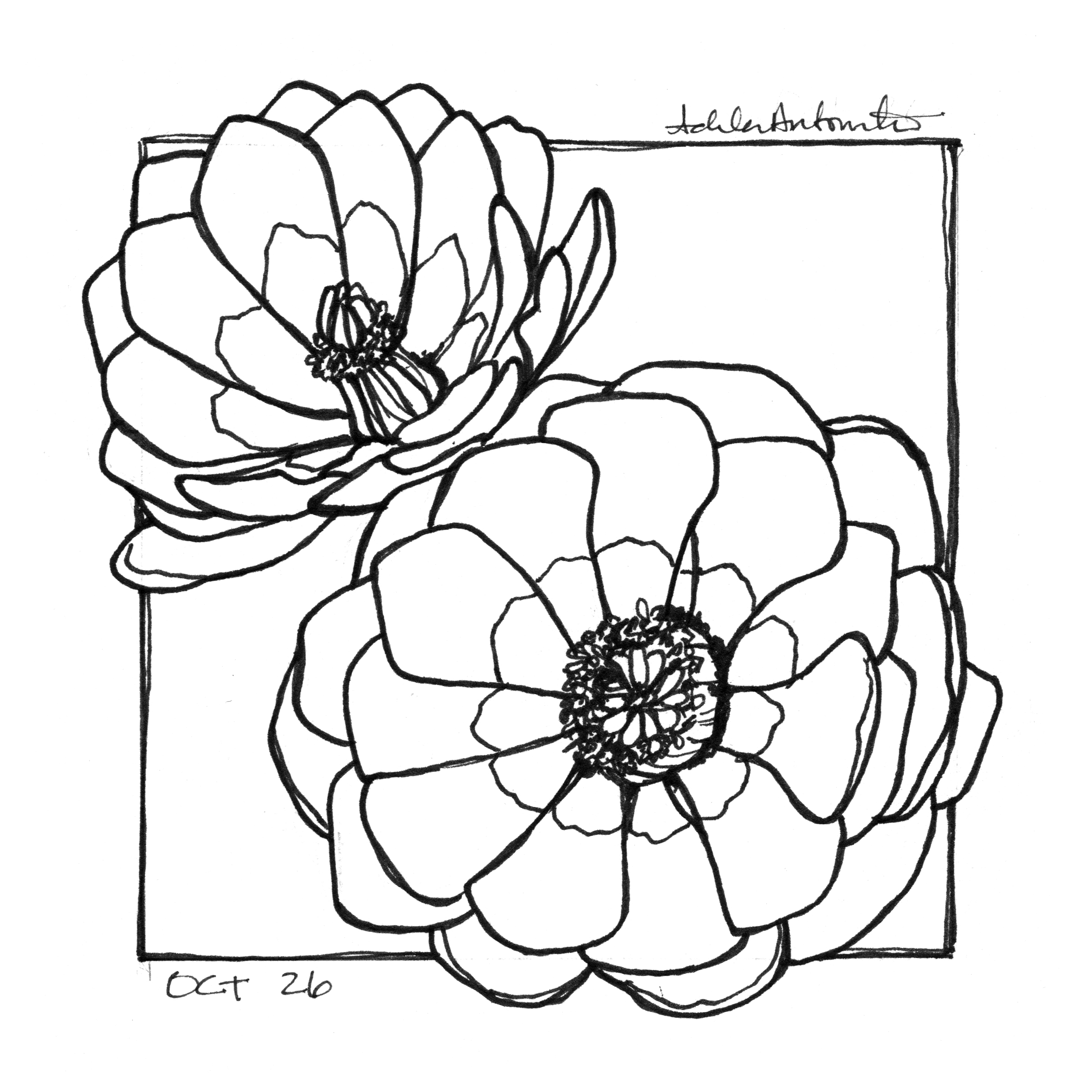 Drawing of flowers