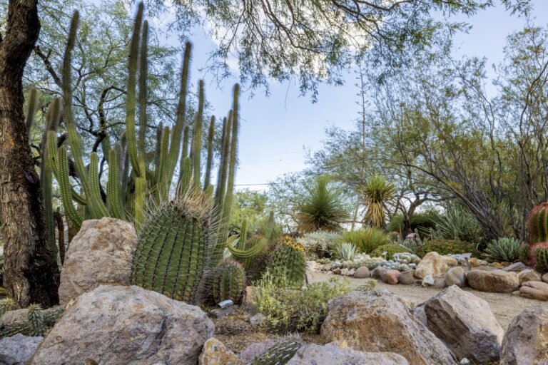 Employment - Tucson Botanical Gardens