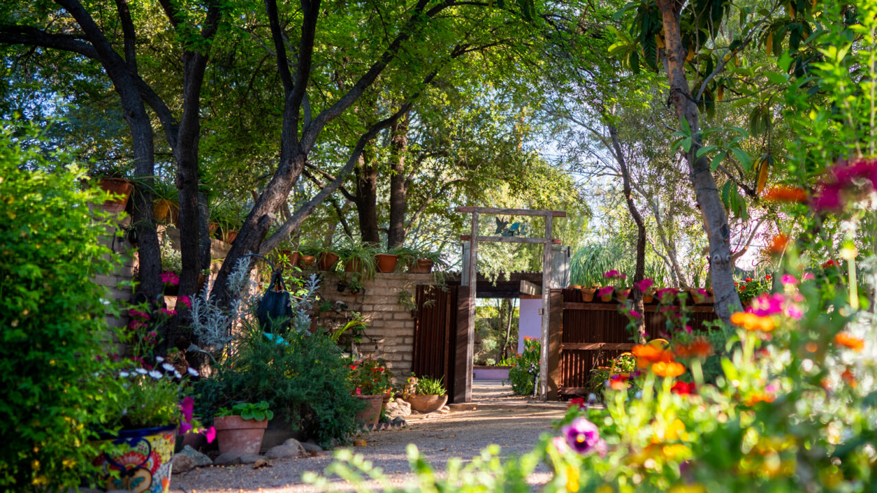 Mother's Day Membership Tucson Botanical Gardens