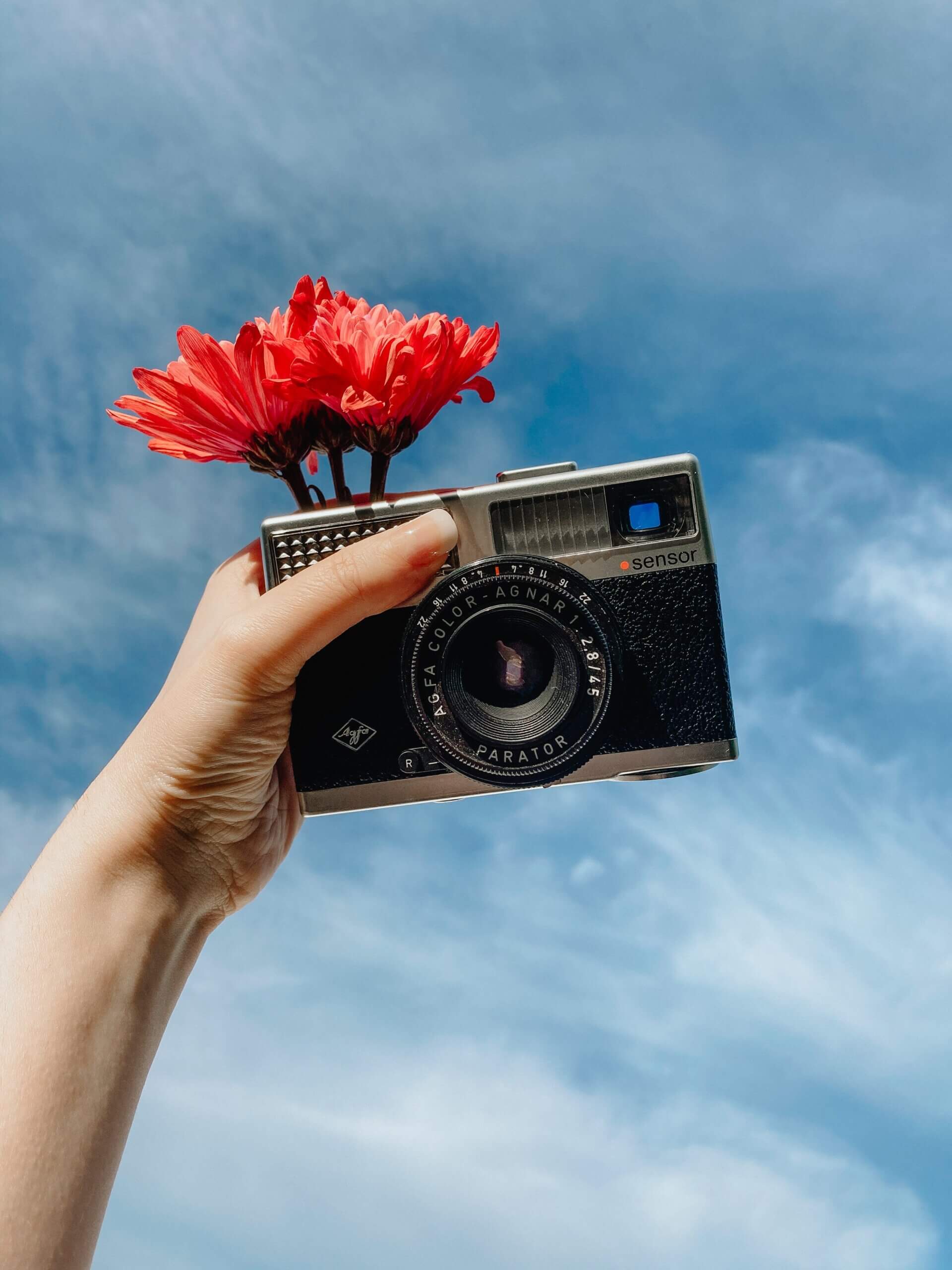Photograph of hand with camera and flowers