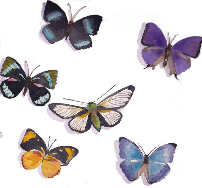 Painting of butterflies