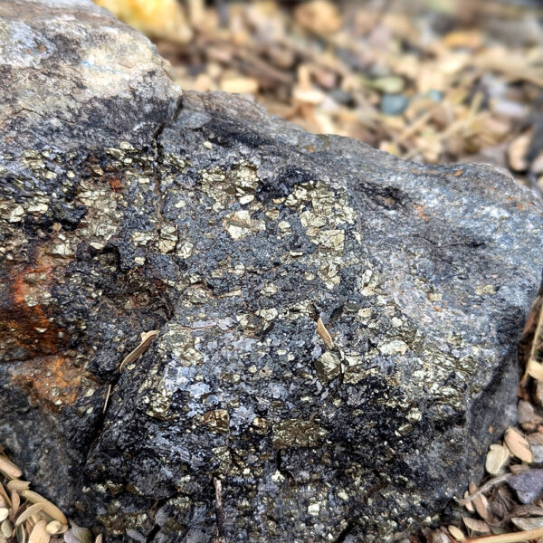 Pyrites Solid Rock Geology Rocks! - Tucson Botanical Gardens